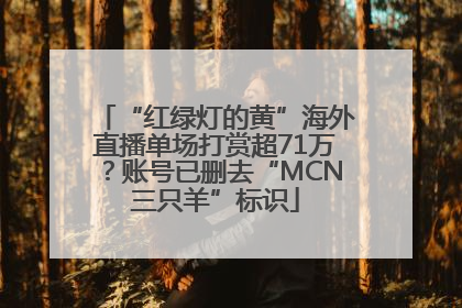 “红绿灯的黄”海外直播单场打赏超71万？账号已删去“MCN三只羊”标识